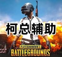 绝地求生柯总辅助(内部转天卡 市场独家项目)