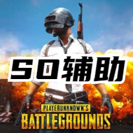 绝地求生SO辅助(主播同款内部辅助)