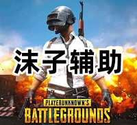 绝地求生沫子辅助(开服就可玩无视更新!)